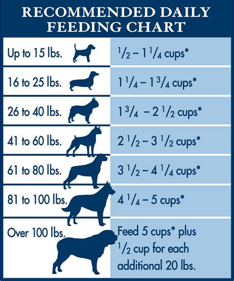 三個月幼犬食量如何調配？掌握關鍵期的營養需求！