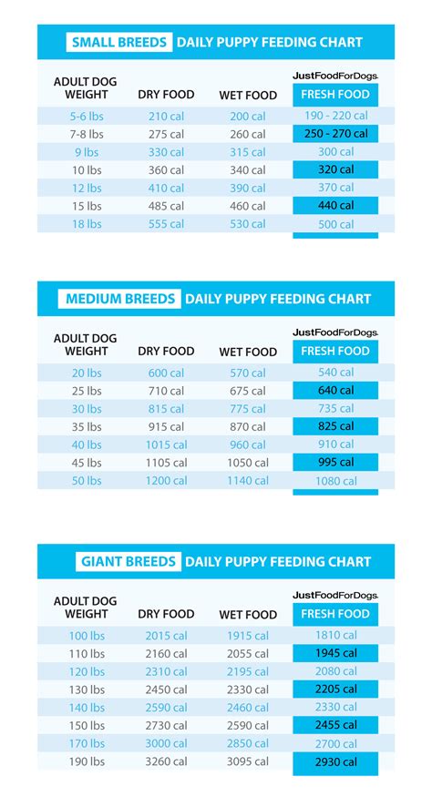 幼犬食量計算怎麼做？讓你成為狗狗營養專家！